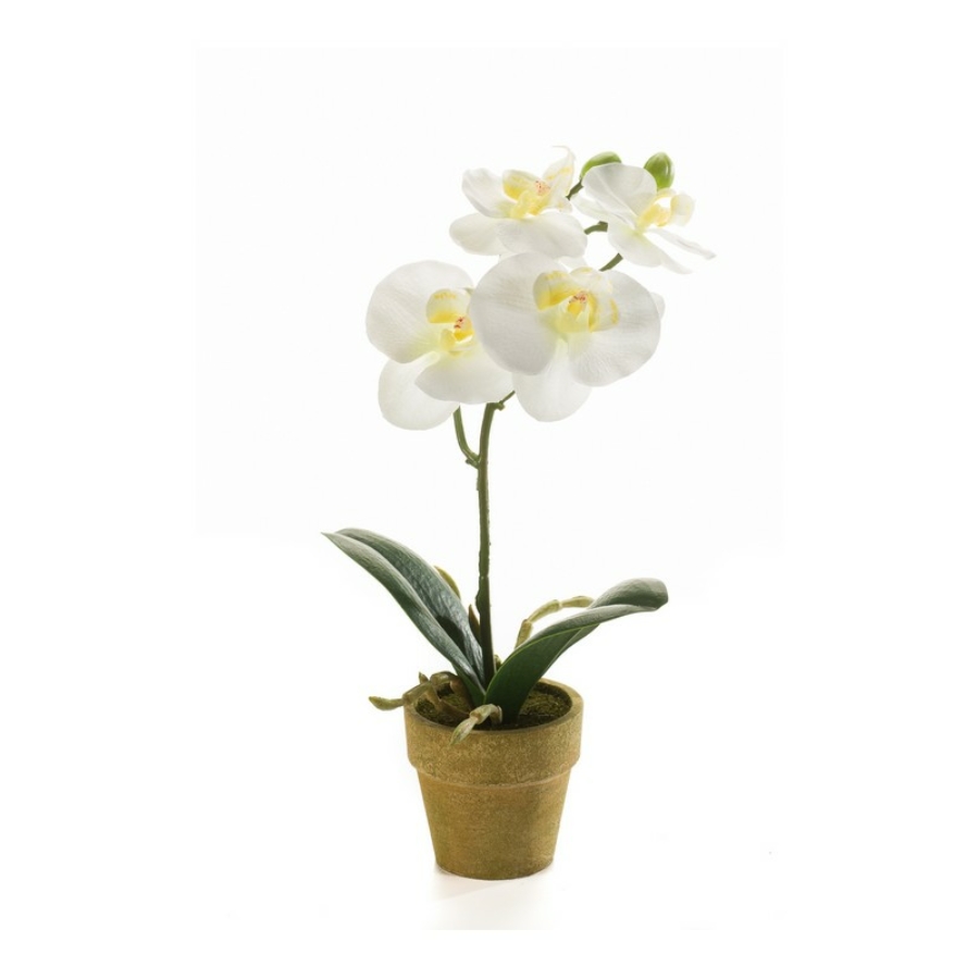 Dekorativni cvet-orhideja 25cm u papirnoj saksiji beli Emerald