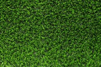 Veštačka trava debljina 20mm širina 2m Garland Grass