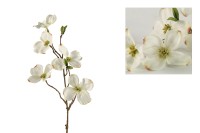 Dekorativni cvet - dren Fiona S 63cm beli/smeđi Countryfield